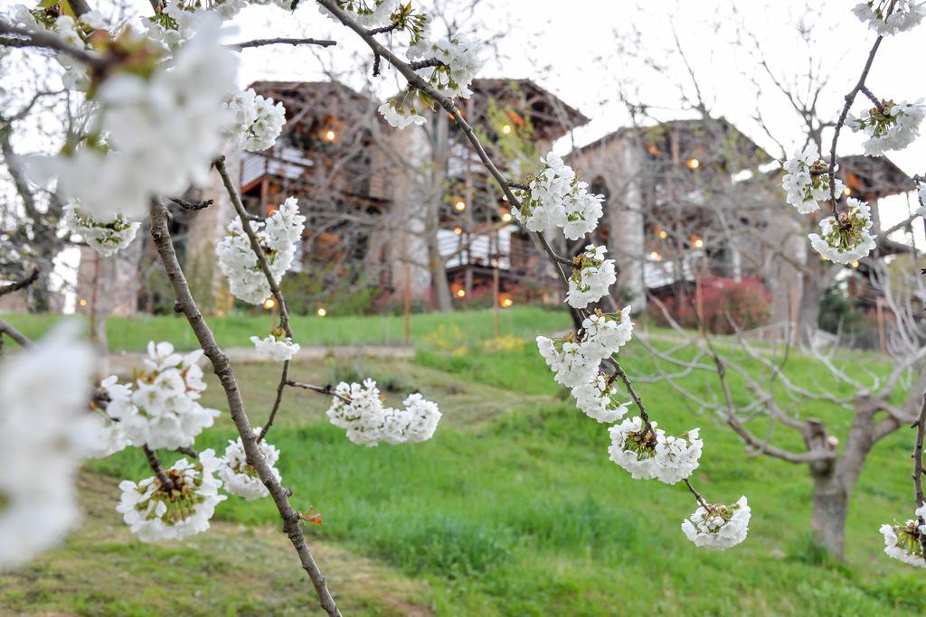 Vathyskia Guesthouse Kato Sinikia Trikalon Екстер'єр фото